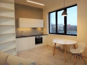 Pronájem bytu 2+kk, Brno, Mlýnská, 41 m2