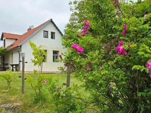 Prodej chalupy, Dolní Hbity, 206 m2