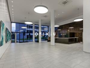 Pronájem obchodního prostoru, Brno - Staré Brno, Nové sady, 90 m2