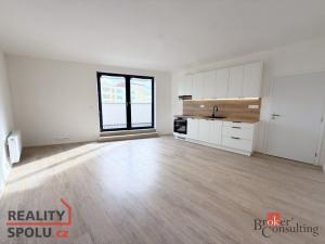 Pronájem bytu 1+kk, Opava - Kateřinky, Rolnická, 33 m2