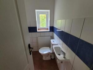 Prodej chalupy, Červená Voda, 265 m2