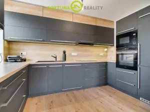 Prodej rodinného domu, Ostrava - Stará Bělá, Dokoupilova, 399 m2