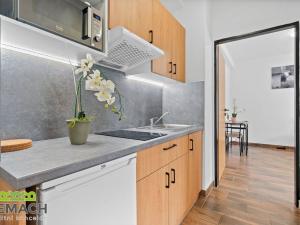 Prodej apartmánu, Buchlovice, K Buchlovu, 320 m2