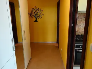 Prodej bytu 3+1, České Budějovice, Fr. Ondříčka, 70 m2