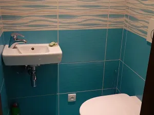 Prodej bytu 3+1, České Budějovice, Fr. Ondříčka, 70 m2