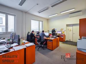 Prodej obchodního prostoru, Pardubice - Zelené Předměstí, V Ráji, 740 m2