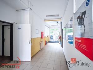 Prodej obchodního prostoru, Pardubice - Zelené Předměstí, V Ráji, 740 m2