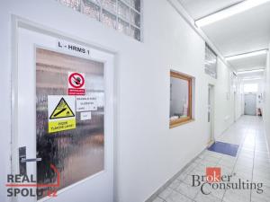Prodej obchodního prostoru, Pardubice - Zelené Předměstí, V Ráji, 740 m2