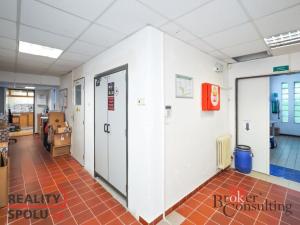 Prodej obchodního prostoru, Pardubice - Zelené Předměstí, V Ráji, 740 m2