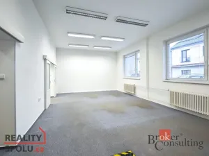 Prodej obchodního prostoru, Pardubice - Zelené Předměstí, V Ráji, 740 m2