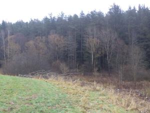 Prodej pozemku, Vyšší Brod, 2894 m2