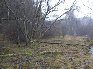 Prodej pozemku, Vyšší Brod, 2894 m2