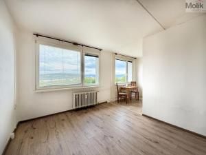 Pronájem bytu 1+1, Most, Javorová, 34 m2