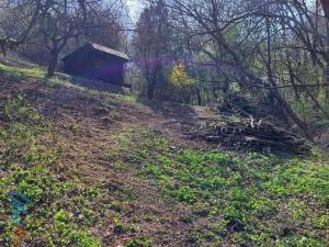 Prodej pozemku pro bydlení, Bílovice nad Svitavou, Soběšická, 1778 m2