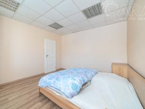 Prodej obchodního prostoru, Vladislav, 220 m2