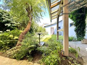 Pronájem rodinného domu, Tachov, Dolní Předměstí, 90 m2