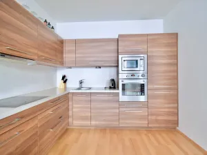 Pronájem bytu 3+kk, Brno - Staré Brno, Vodní, 80 m2