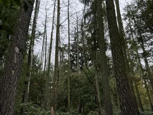 Prodej podílu pozemku, Plaňany, 23569 m2