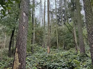 Prodej podílu pozemku, Plaňany, 23569 m2