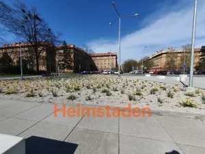 Pronájem bytu 2+1, Ostrava - Poruba, Alšova, 56 m2