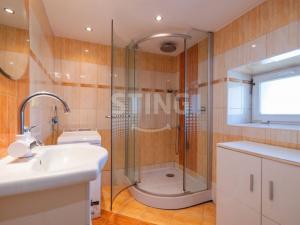 Prodej rodinného domu, Březová - Leskovec, 300 m2