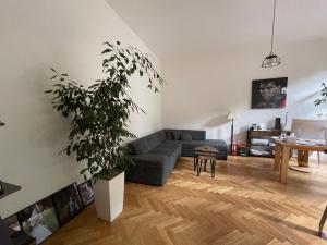 Pronájem bytu 3+kk, Poděbrady, 74 m2
