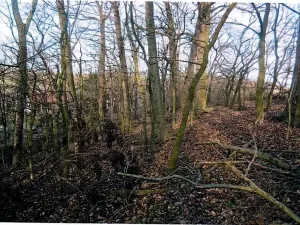 Prodej podílu pozemku, Úhřetická Lhota, 1225 m2