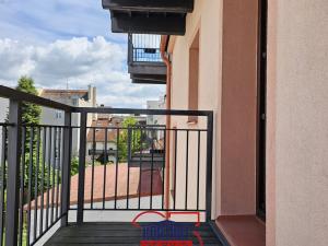 Prodej bytu 1+kk, České Budějovice, B. Smetany, 38 m2