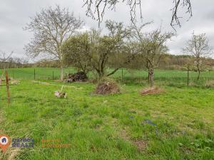 Prodej rodinného domu, Přemyslovice, 45 m2