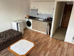 Pronájem bytu 1+kk, Bílina - Teplické Předměstí, Sídliště Za Chlumem, 29 m2