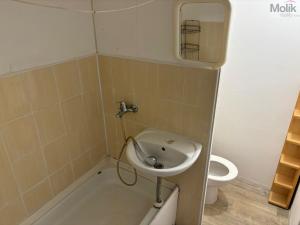 Pronájem bytu 1+kk, Bílina - Teplické Předměstí, Sídliště Za Chlumem, 29 m2