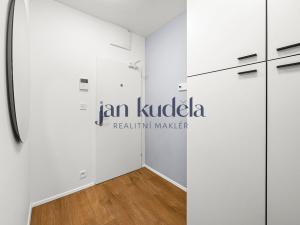 Pronájem bytu 1+kk, Brno, Cejl, 28 m2