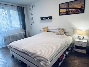 Prodej bytu 2+1, Hodonín, Pánov, 60 m2