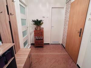 Prodej bytu 2+1, Hodonín, Pánov, 60 m2