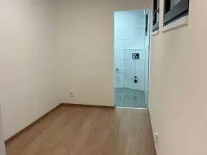 Prodej bytu 2+1, Jihlava, Havlíčkova, 32 m2
