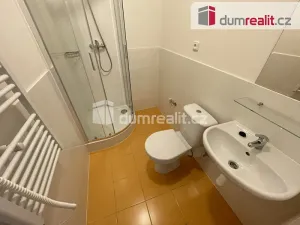 Pronájem bytu 1+kk, Praha - Smíchov, Na Valentince, 45 m2