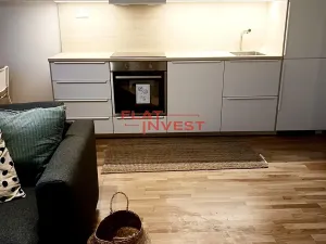 Pronájem bytu 1+kk, Praha - Karlín, Vítkova, 39 m2