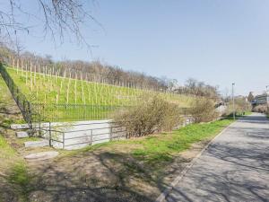 Pronájem bytu 1+kk, Praha - Žižkov, Chlumova, 35 m2