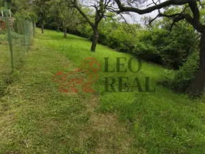 Prodej zahrady, Slavkov u Brna, 595 m2