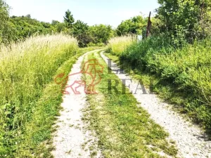 Prodej zahrady, Slavkov u Brna, 595 m2