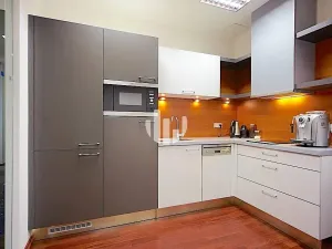 Pronájem obchodního prostoru, Brno, Orlí, 192 m2