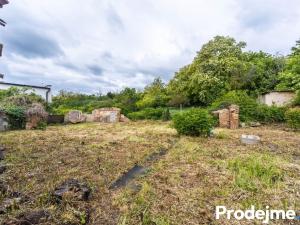 Prodej rodinného domu, Dyje, 100 m2