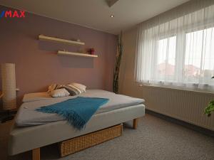 Prodej vícegeneračního domu, Němčice, 600 m2