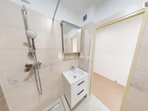 Pronájem bytu 1+1, Krnov - Pod Cvilínem, SPC E, 43 m2