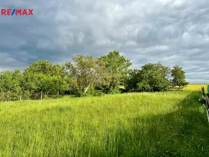 Prodej pozemku pro bydlení, Dolní Lažany, 1472 m2