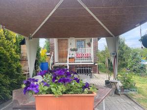 Prodej chaty, Lednice, 40 m2