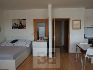 Pronájem bytu 1+kk, Praha - Holešovice, U měšťanského pivovaru, 54 m2