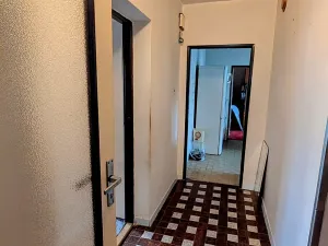 Prodej rodinného domu, Vojkovice, 336 m2