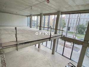 Pronájem obchodního prostoru, Brno, Nové sady, 160 m2