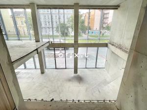 Pronájem obchodního prostoru, Brno, Nové sady, 160 m2
